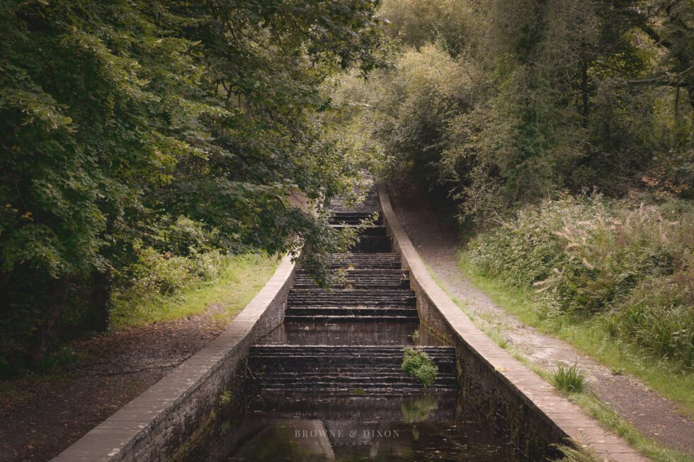 Gnoll Parkrun Photography