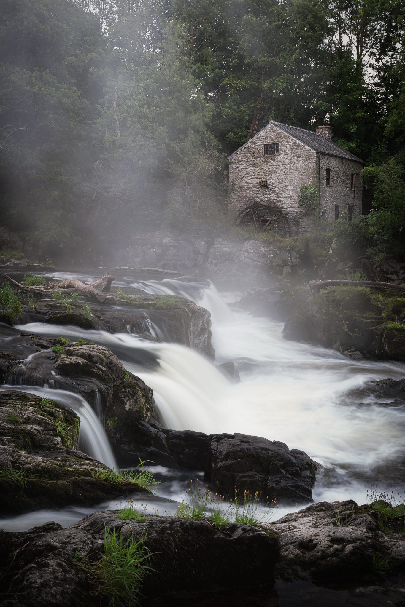 Cenarth Falls Wedding Photography Cenarth Falls Wedding Photography