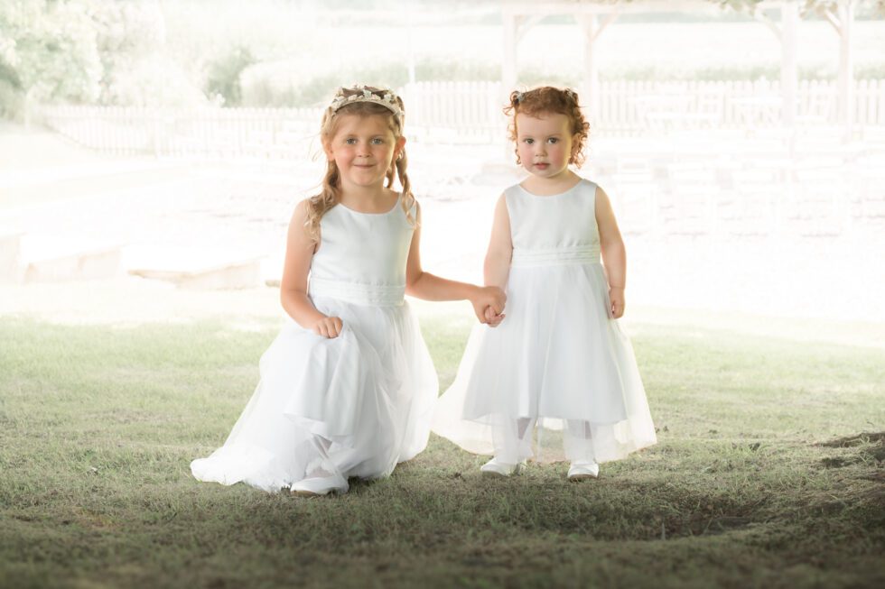 Plough Rhosmaen - Llandeilo Summer Wedding